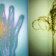 Illustration for article titled How to Make Photographic Prints Without a Camera or Chemicals